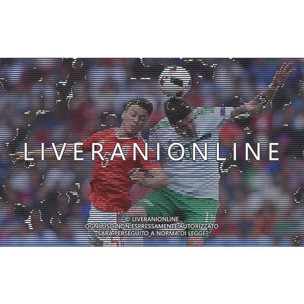 UEFA Francia EURO 2016 Final Tournament Roud of 16 Parigi - 25.06.2016 Galles-Irlanda del Nord Nella Foto:lafferty-chester /Ph.Vitez-Ag. Aldo Liverani