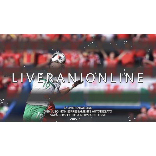 UEFA Francia EURO 2016 Final Tournament Roud of 16 Parigi - 25.06.2016 Galles-Irlanda del Nord Nella Foto:ward-williams /Ph.Vitez-Ag. Aldo Liverani