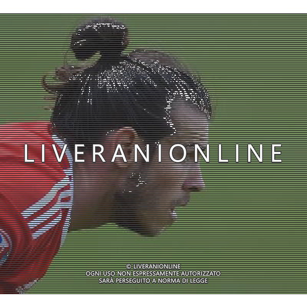 UEFA Francia EURO 2016 Final Tournament Roud of 16 Parigi - 25.06.2016 Galles-Irlanda del Nord Nella Foto:bale /Ph.Vitez-Ag. Aldo Liverani