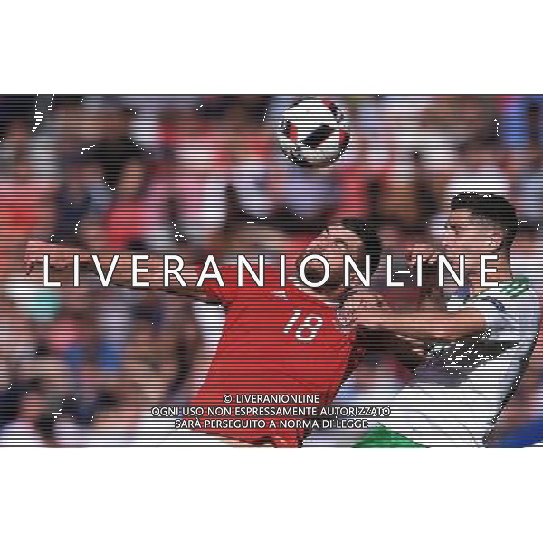 UEFA Francia EURO 2016 Final Tournament Roud of 16 Parigi - 25.06.2016 Galles-Irlanda del Nord Nella Foto:vokes-cathcart /Ph.Vitez-Ag. Aldo Liverani