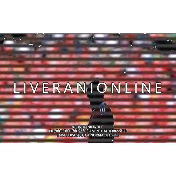 UEFA Francia EURO 2016 Final Tournament Roud of 16 Parigi - 25.06.2016 Galles-Irlanda del Nord Nella Foto:bale /Ph.Vitez-Ag. Aldo Liverani