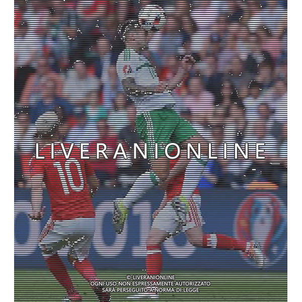 UEFA Francia EURO 2016 Final Tournament Roud of 16 Parigi - 25.06.2016 Galles-Irlanda del Nord Nella Foto:norwood /Ph.Vitez-Ag. Aldo Liverani