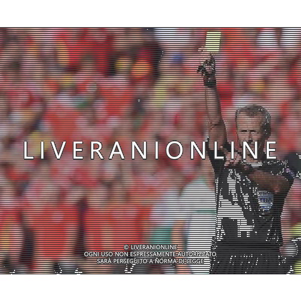 UEFA Francia EURO 2016 Final Tournament Roud of 16 Parigi - 25.06.2016 Galles-Irlanda del Nord Nella Foto:atkinson martin /Ph.Vitez-Ag. Aldo Liverani