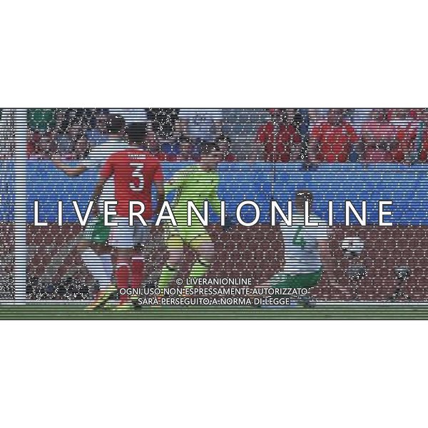 UEFA Francia EURO 2016 Final Tournament Roud of 16 Parigi - 25.06.2016 Galles-Irlanda del Nord Nella Foto:autogol mcauley /Ph.Vitez-Ag. Aldo Liverani
