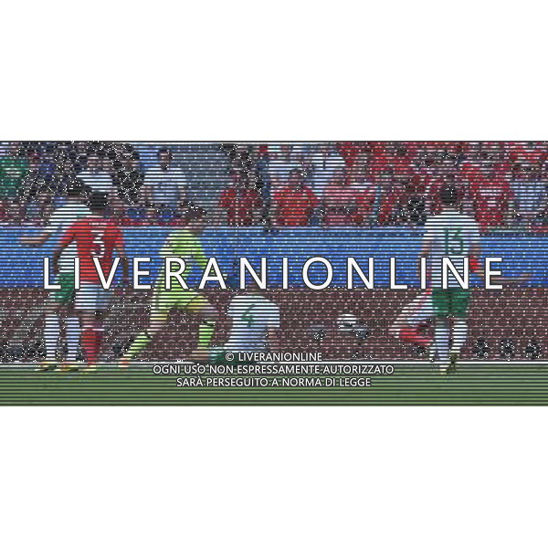 UEFA Francia EURO 2016 Final Tournament Roud of 16 Parigi - 25.06.2016 Galles-Irlanda del Nord Nella Foto:autogol mcauley /Ph.Vitez-Ag. Aldo Liverani