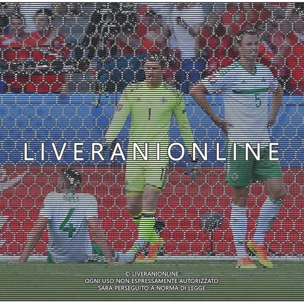 UEFA Francia EURO 2016 Final Tournament Roud of 16 Parigi - 25.06.2016 Galles-Irlanda del Nord Nella Foto:delusione di mcauley /Ph.Vitez-Ag. Aldo Liverani