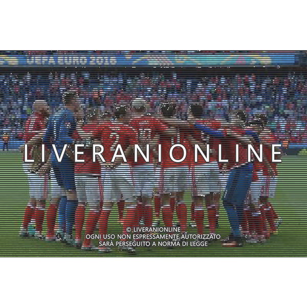 UEFA Francia EURO 2016 Final Tournament Roud of 16 Parigi - 25.06.2016 Galles-Irlanda del Nord Nella Foto:i giocatori del galles esultano a fine partita /Ph.Vitez-Ag. Aldo Liverani