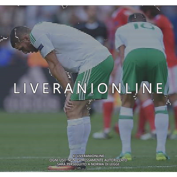 UEFA Francia EURO 2016 Final Tournament Roud of 16 Parigi - 25.06.2016 Galles-Irlanda del Nord Nella Foto:delusione irlanda /Ph.Vitez-Ag. Aldo Liverani