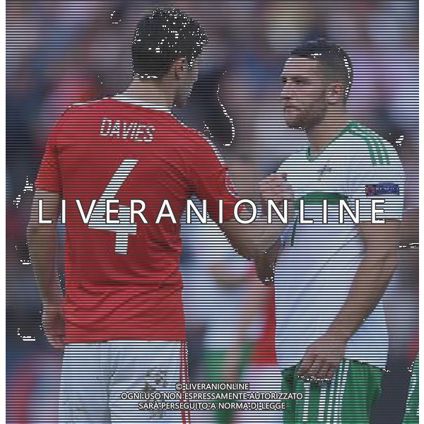 UEFA Francia EURO 2016 Final Tournament Roud of 16 Parigi - 25.06.2016 Galles-Irlanda del Nord Nella Foto:davies e washington /Ph.Vitez-Ag. Aldo Liverani