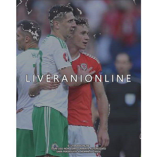 UEFA Francia EURO 2016 Final Tournament Roud of 16 Parigi - 25.06.2016 Galles-Irlanda del Nord Nella Foto:abbraccio fra chester e cathcart /Ph.Vitez-Ag. Aldo Liverani