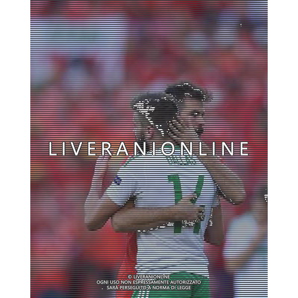 UEFA Francia EURO 2016 Final Tournament Roud of 16 Parigi - 25.06.2016 Galles-Irlanda del Nord Nella Foto:abbraccio fra dallas e ledley /Ph.Vitez-Ag. Aldo Liverani