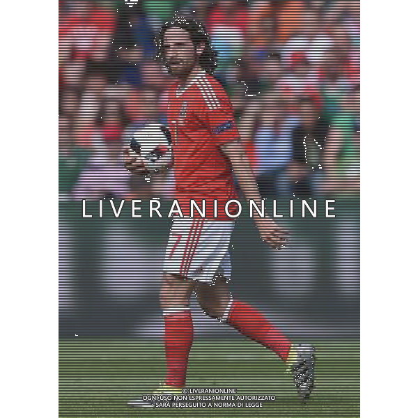 UEFA Francia EURO 2016 Final Tournament Roud of 16 Parigi - 25.06.2016 Galles-Irlanda del Nord Nella Foto:Allen Joe /Ph.Vitez-Ag. Aldo Liverani