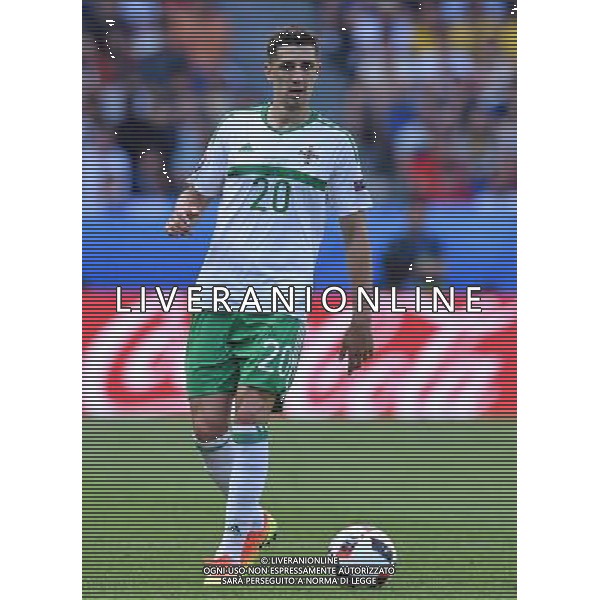 UEFA Francia EURO 2016 Final Tournament Roud of 16 Parigi - 25.06.2016 Galles-Irlanda del Nord Nella Foto:Cathcart Craig /Ph.Vitez-Ag. Aldo Liverani