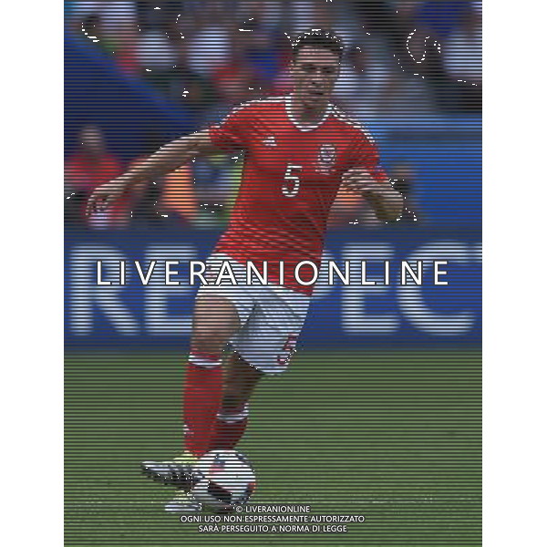 UEFA Francia EURO 2016 Final Tournament Roud of 16 Parigi - 25.06.2016 Galles-Irlanda del Nord Nella Foto:Chester James /Ph.Vitez-Ag. Aldo Liverani