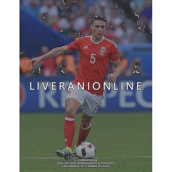 UEFA Francia EURO 2016 Final Tournament Roud of 16 Parigi - 25.06.2016 Galles-Irlanda del Nord Nella Foto:Chester James /Ph.Vitez-Ag. Aldo Liverani