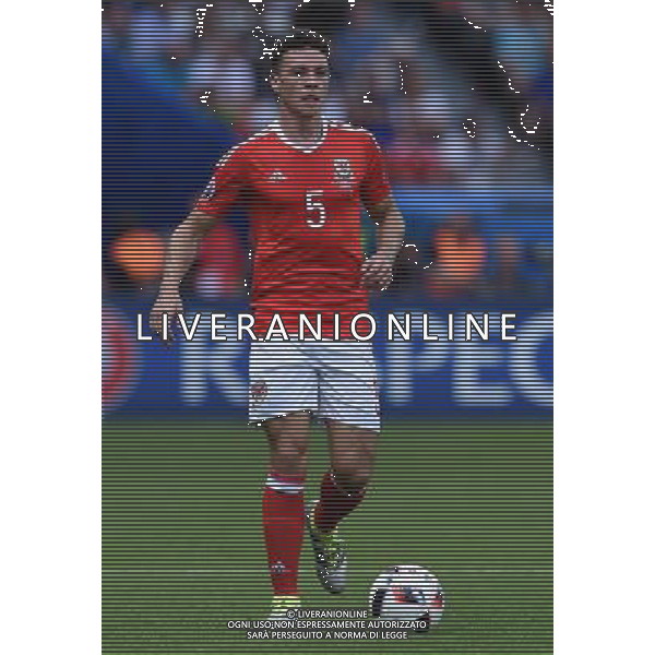 UEFA Francia EURO 2016 Final Tournament Roud of 16 Parigi - 25.06.2016 Galles-Irlanda del Nord Nella Foto:Chester James /Ph.Vitez-Ag. Aldo Liverani