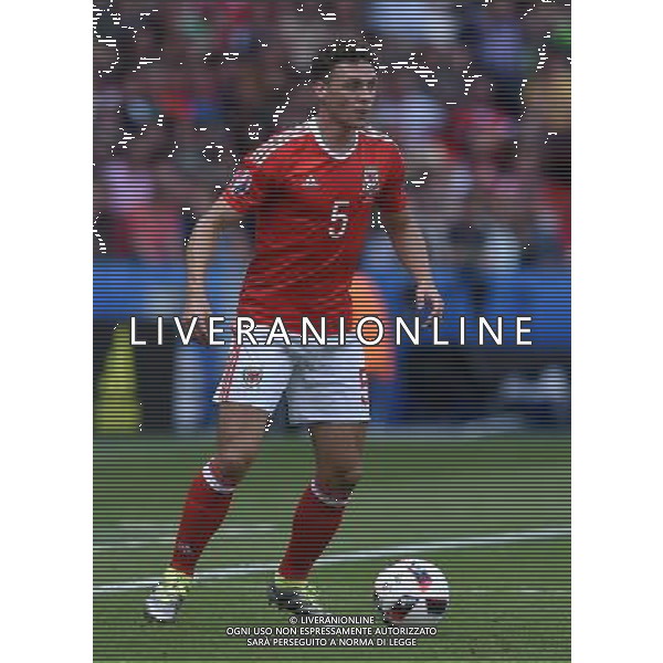 UEFA Francia EURO 2016 Final Tournament Roud of 16 Parigi - 25.06.2016 Galles-Irlanda del Nord Nella Foto:Chester James /Ph.Vitez-Ag. Aldo Liverani