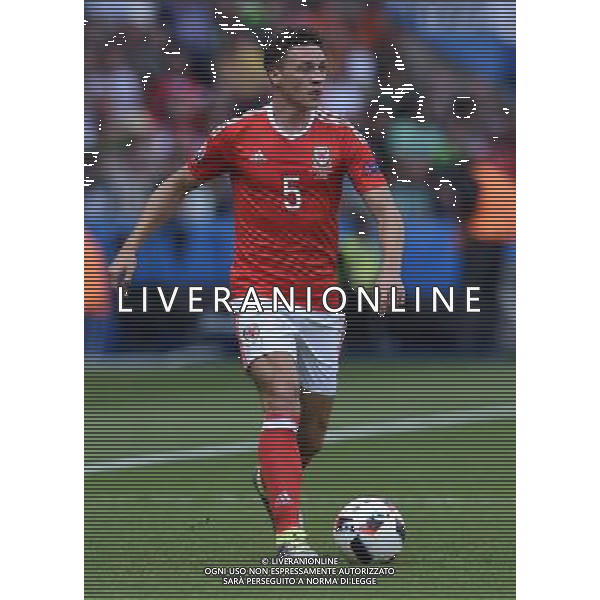 UEFA Francia EURO 2016 Final Tournament Roud of 16 Parigi - 25.06.2016 Galles-Irlanda del Nord Nella Foto:Chester James /Ph.Vitez-Ag. Aldo Liverani