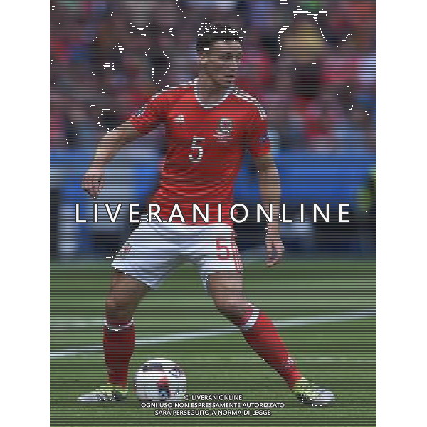 UEFA Francia EURO 2016 Final Tournament Roud of 16 Parigi - 25.06.2016 Galles-Irlanda del Nord Nella Foto:Chester James /Ph.Vitez-Ag. Aldo Liverani