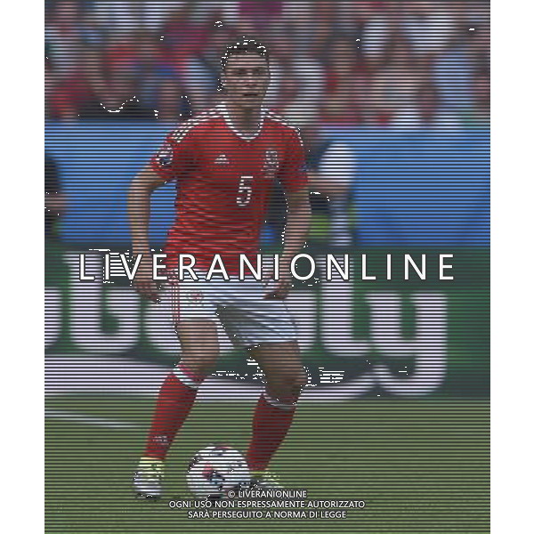 UEFA Francia EURO 2016 Final Tournament Roud of 16 Parigi - 25.06.2016 Galles-Irlanda del Nord Nella Foto:Chester James /Ph.Vitez-Ag. Aldo Liverani