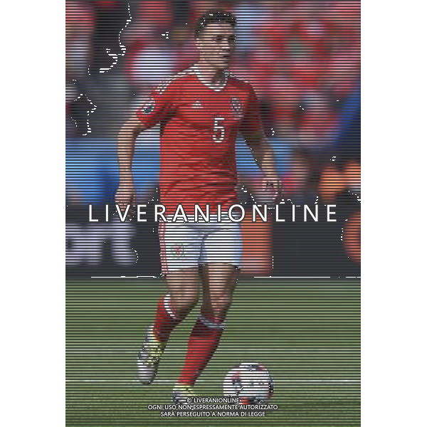 UEFA Francia EURO 2016 Final Tournament Roud of 16 Parigi - 25.06.2016 Galles-Irlanda del Nord Nella Foto:Chester James /Ph.Vitez-Ag. Aldo Liverani