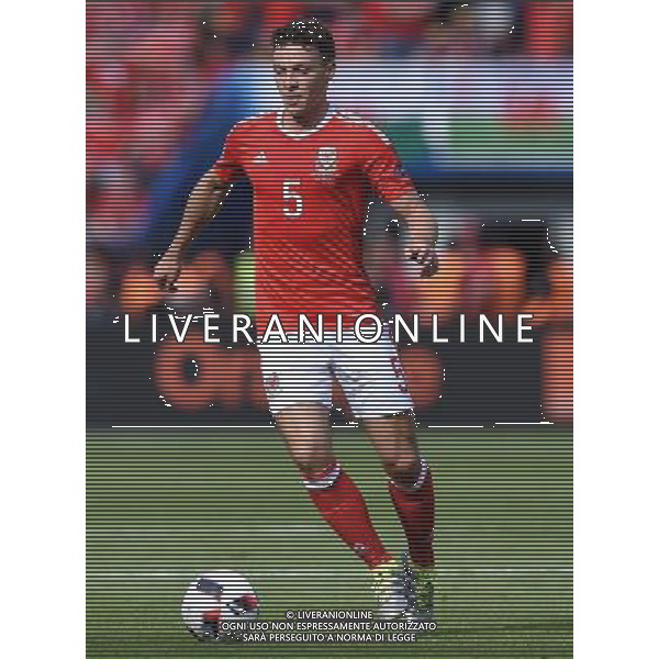 UEFA Francia EURO 2016 Final Tournament Roud of 16 Parigi - 25.06.2016 Galles-Irlanda del Nord Nella Foto:Chester James /Ph.Vitez-Ag. Aldo Liverani