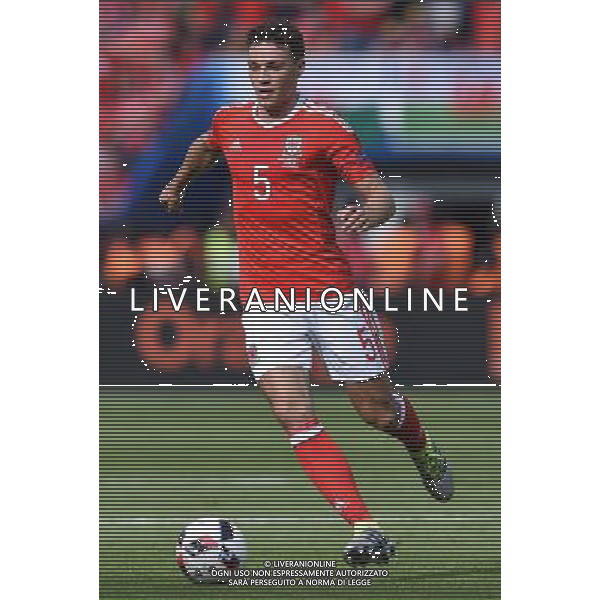 UEFA Francia EURO 2016 Final Tournament Roud of 16 Parigi - 25.06.2016 Galles-Irlanda del Nord Nella Foto:Chester James /Ph.Vitez-Ag. Aldo Liverani