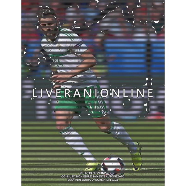 UEFA Francia EURO 2016 Final Tournament Roud of 16 Parigi - 25.06.2016 Galles-Irlanda del Nord Nella Foto:Dallas Stuart /Ph.Vitez-Ag. Aldo Liverani