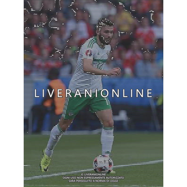 UEFA Francia EURO 2016 Final Tournament Roud of 16 Parigi - 25.06.2016 Galles-Irlanda del Nord Nella Foto:Dallas Stuart /Ph.Vitez-Ag. Aldo Liverani