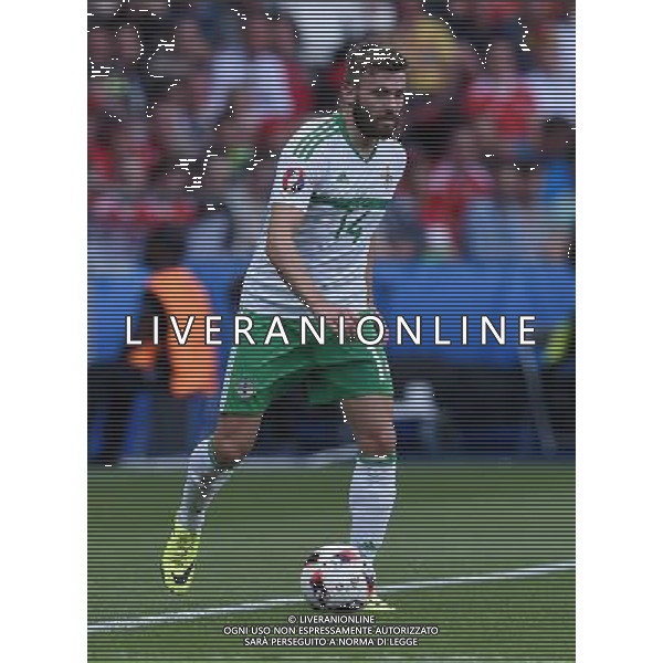 UEFA Francia EURO 2016 Final Tournament Roud of 16 Parigi - 25.06.2016 Galles-Irlanda del Nord Nella Foto:Dallas Stuart /Ph.Vitez-Ag. Aldo Liverani