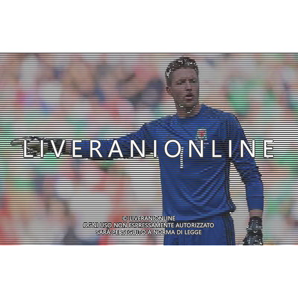 UEFA Francia EURO 2016 Final Tournament Roud of 16 Parigi - 25.06.2016 Galles-Irlanda del Nord Nella Foto:Hennessey Wayne /Ph.Vitez-Ag. Aldo Liverani