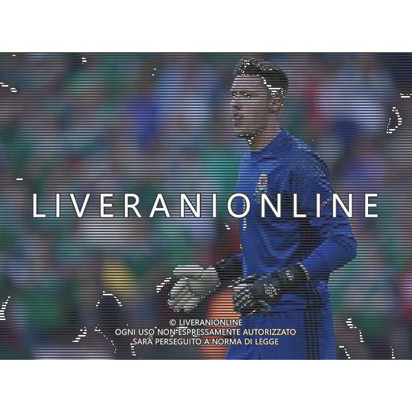 UEFA Francia EURO 2016 Final Tournament Roud of 16 Parigi - 25.06.2016 Galles-Irlanda del Nord Nella Foto:Hennessey Wayne /Ph.Vitez-Ag. Aldo Liverani