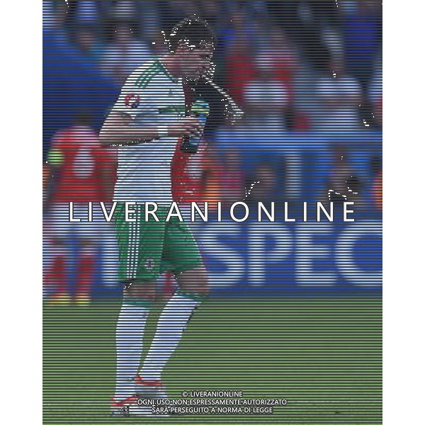 UEFA Francia EURO 2016 Final Tournament Roud of 16 Parigi - 25.06.2016 Galles-Irlanda del Nord Nella Foto:Lafferty Kyle /Ph.Vitez-Ag. Aldo Liverani