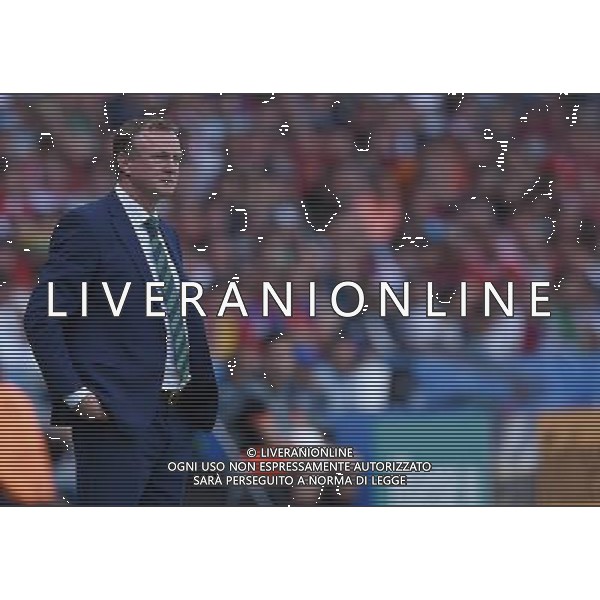 UEFA Francia EURO 2016 Final Tournament Roud of 16 Parigi - 25.06.2016 Galles-Irlanda del Nord Nella Foto:O\'Neil Michael /Ph.Vitez-Ag. Aldo Liverani