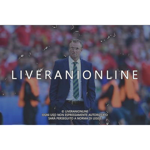 UEFA Francia EURO 2016 Final Tournament Roud of 16 Parigi - 25.06.2016 Galles-Irlanda del Nord Nella Foto:O\'Neil Michael /Ph.Vitez-Ag. Aldo Liverani