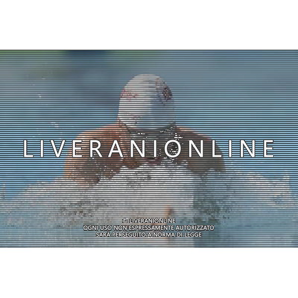 Internazionali di Nuoto 53 Trofeo Settecolli Roma - 26.06.2016 - Stadio del Nuoto - nella foto: Daniele Di Palma /Ph. Corradetti - AG ALDO LIVERANI SAS