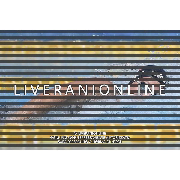 Internazionali di Nuoto 53 Trofeo Settecolli Roma - 26.06.2016 - Stadio del Nuoto - nella foto: Federica Pellegrini /Ph. Corradetti - AG ALDO LIVERANI SAS