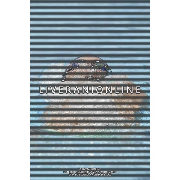 Internazionali di Nuoto 53 Trofeo Settecolli Roma - 26.06.2016 - Stadio del Nuoto - nella foto: Federico Turrini /Ph. Corradetti - AG ALDO LIVERANI SAS