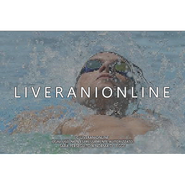 Internazionali di Nuoto 53 Trofeo Settecolli Roma - 26.06.2016 - Stadio del Nuoto - nella foto: Federico Turrini /Ph. Corradetti - AG ALDO LIVERANI SAS