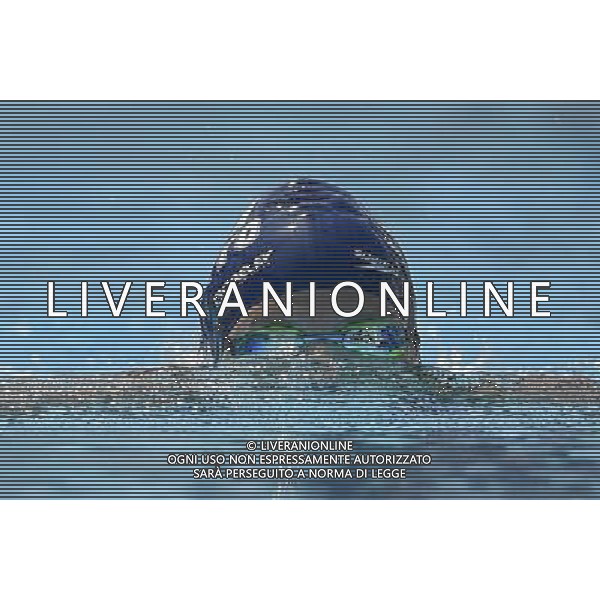 Internazionali di Nuoto 53 Trofeo Settecolli Roma - 26.06.2016 - Stadio del Nuoto - nella foto: Ilaria Cusinato /Ph. Corradetti - AG ALDO LIVERANI SAS