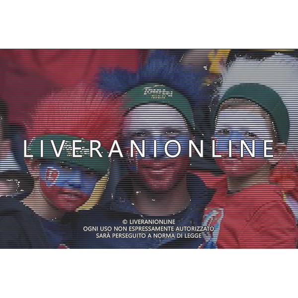 UEFA Francia EURO 2016 Final Tournament Round of 16 Lille - 26.06.2016 Germania-Slovacchia Nella Foto:TIFOSI SLOVACCHIA /Ph.Vitez-Ag. Aldo Liverani