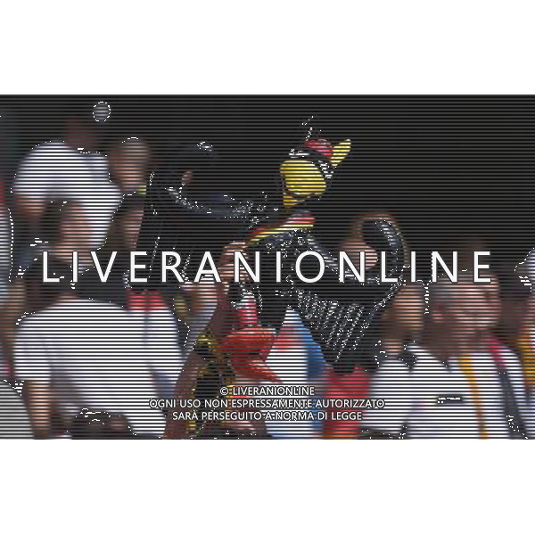 UEFA Francia EURO 2016 Final Tournament Round of 16 Lille - 26.06.2016 Germania-Slovacchia Nella Foto:tifosi germania /Ph.Vitez-Ag. Aldo Liverani