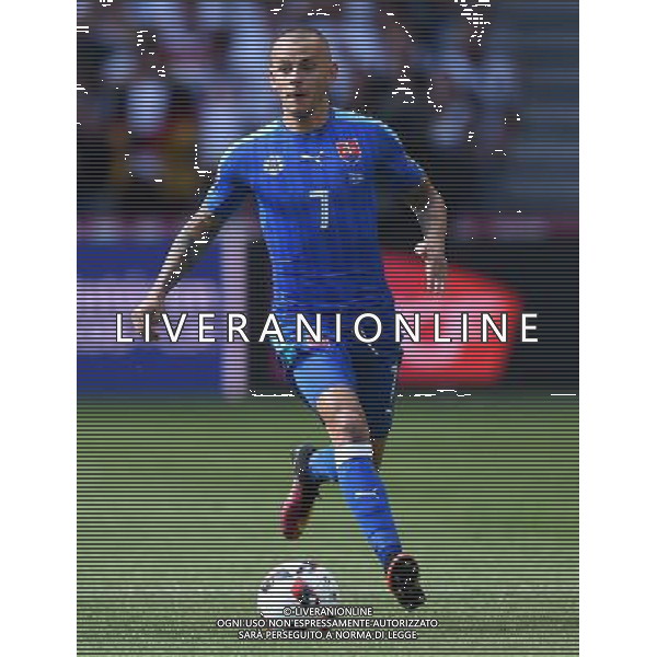 UEFA Francia EURO 2016 Final Tournament Round of 16 Lille - 26.06.2016 Germania-Slovacchia Nella Foto:weiss /Ph.Vitez-Ag. Aldo Liverani