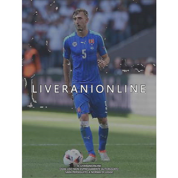 UEFA Francia EURO 2016 Final Tournament Round of 16 Lille - 26.06.2016 Germania-Slovacchia Nella Foto:Gyomber Norbert /Ph.Vitez-Ag. Aldo Liverani