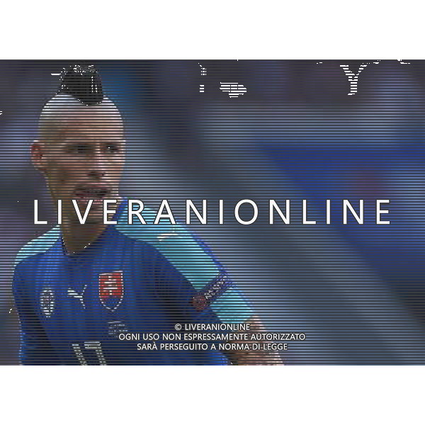 UEFA Francia EURO 2016 Final Tournament Round of 16 Lille - 26.06.2016 Germania-Slovacchia Nella Foto:Hamsik Marek /Ph.Vitez-Ag. Aldo Liverani