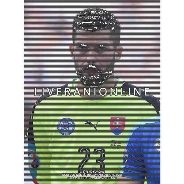UEFA Francia EURO 2016 Final Tournament Round of 16 Lille - 26.06.2016 Germania-Slovacchia Nella Foto:Kozacik Matus /Ph.Vitez-Ag. Aldo Liverani