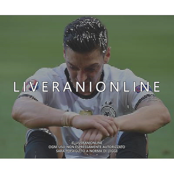 UEFA Francia EURO 2016 Final Tournament Round of 16 Lille - 26.06.2016 Germania-Slovacchia Nella Foto:Ozil Mesut /Ph.Vitez-Ag. Aldo Liverani