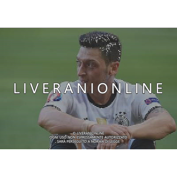 UEFA Francia EURO 2016 Final Tournament Round of 16 Lille - 26.06.2016 Germania-Slovacchia Nella Foto:Ozil Mesut /Ph.Vitez-Ag. Aldo Liverani