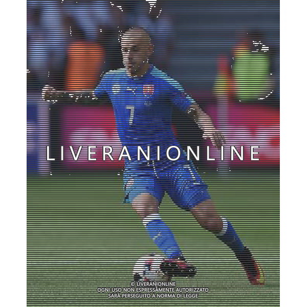 UEFA Francia EURO 2016 Final Tournament Round of 16 Lille - 26.06.2016 Germania-Slovacchia Nella Foto:Weiss Vladimir /Ph.Vitez-Ag. Aldo Liverani