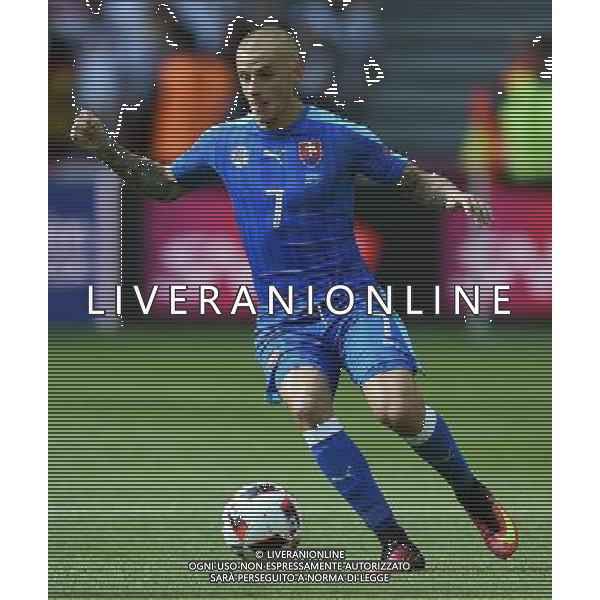 UEFA Francia EURO 2016 Final Tournament Round of 16 Lille - 26.06.2016 Germania-Slovacchia Nella Foto:Weiss Vladimir /Ph.Vitez-Ag. Aldo Liverani